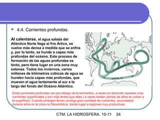    4.4. Corrientes profundas.

Al calentarse, el agua salada del
Atlántico Norte llega al frío Ártico, se
vuelve más densa a medida que se enfría
y, por lo tanto, se hunde a capas más
profundas del océano. Este proceso de
formación de las aguas profundas es
lento, pero tiene lugar en una zona muy
extensa. Todos los inviernos, varios
millones de kilómetros cúbicos de agua se
hunden hacia capas más profundas, que
mueven el agua lentamente al sur a lo
largo del fondo del Océano Atlántico.
Estas corrientes profundas van por debajo de la termoclina, a veces en dirección opuesta a las
corrientes superficiales y son más lentas que ellas ( a veces tardan cientos de años en volver a
la superficie). Cuando emergen llevan consigo gran cantidad de nutrientes, acumulados
durante años en la zona no fotosintética, dando lugar a regiones muy productivas.


                                CTM. LA HIDROSFERA. 10-11                  24
 