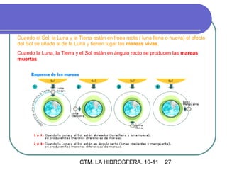 Cuando el Sol, la Luna y la Tierra están en línea recta ( luna llena o nueva) el efecto
del Sol se añade al de la Luna y tienen lugar las mareas vivas.
Cuando la Luna, la Tierra y el Sol están en ángulo recto se producen las mareas
muertas




                            CTM. LA HIDROSFERA. 10-11               27
 