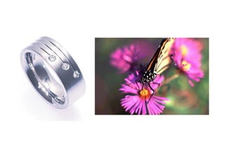 Composició en fotografia
