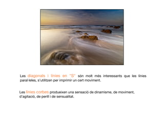 Les diagonals i línies en "S" són molt més interessants que les línies
paral·leles, s’utilitzen per imprimir un cert moviment.
Les línies corbes produeixen una sensació de dinamisme, de moviment,
d’agitació, de perill i de sensualitat. 
 