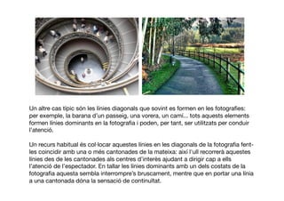 Un altre cas típic són les línies diagonals que sovint es formen en les fotograﬁes:
per exemple, la barana d’un passeig, una vorera, un camí... tots aquests elements
formen línies dominants en la fotograﬁa i poden, per tant, ser utilitzats per conduir
l’atenció.
Un recurs habitual és col·locar aquestes línies en les diagonals de la fotograﬁa fent-
les coincidir amb una o més cantonades de la mateixa: així l'ull recorrerà aquestes
línies des de les cantonades als centres d’interès ajudant a dirigir cap a ells
l’atenció de l’espectador. En tallar les línies dominants amb un dels costats de la
fotograﬁa aquesta sembla interrompre’s bruscament, mentre que en portar una línia
a una cantonada dóna la sensació de continuïtat.
 