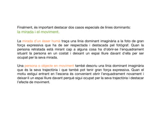 Finalment, és important destacar dos casos especials de línies dominants: 
la mirada i el moviment. 
La mirada d’un ésser humà traça una línia dominant imaginària a la foto de gran
força expressiva que ha de ser respectada i destacada pel fotògraf. Quan la
persona retratada està mirant cap a alguna cosa ha d’obrir-se l’enquadrament
situant la persona en un costat i deixant un espai lliure davant d'ella per ser
ocupatper la seva mirada.
Una persona o objecte en moviment també descriu una línia dominant imaginària
que és la seva trajectòria i que també pot tenir gran força expressiva. Quan el
motiu estigui entrant en l’escena és convenient obrir l’enquadrament novament i
deixar-li un espai lliure davant perquè sigui ocupat per la seva trajectòria i destacar
l’efecte de moviment.
 