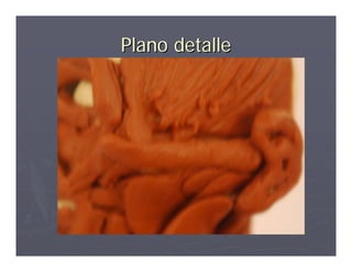 Plano detalle
 