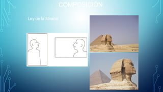 COMPOSICIÓN
Ley de la Mirada: