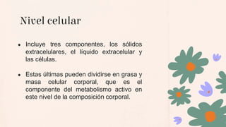 Nivel celular
● Incluye tres componentes, los sólidos
extracelulares, el líquido extracelular y
las células.
● Estas últimas pueden dividirse en grasa y
masa celular corporal, que es el
componente del metabolismo activo en
este nivel de la composición corporal.
 