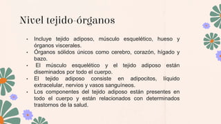 Nivel tejido-órganos
• Incluye tejido adiposo, músculo esquelético, hueso y
órganos viscerales.
• Órganos sólidos únicos como cerebro, corazón, hígado y
bazo.
• El músculo esquelético y el tejido adiposo están
diseminados por todo el cuerpo.
• El tejido adiposo consiste en adipocitos, líquido
extracelular, nervios y vasos sanguíneos.
• Los componentes del tejido adiposo están presentes en
todo el cuerpo y están relacionados con determinados
trastornos de la salud.
 
