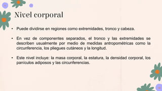 Nivel corporal
• Puede dividirse en regiones como extremidades, tronco y cabeza.
• En vez de componentes separados, el tronco y las extremidades se
describen usualmente por medio de medidas antropométricas como la
circunferencia, los pliegues cutáneos y la longitud.
• Este nivel incluye: la masa corporal, la estatura, la densidad corporal, los
panículos adiposos y las circunferencias.
 