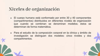 Niveles de organización
● El cuerpo humano está conformado por entre 30 y 40 componentes
(compartimentos) distribuidos en diferentes niveles de organización
que cuando se combinan se denominan modelos; éstos se
determinan de forma matemática.
● Para el estudio de la composición corporal en la clínica y ámbito de
investigación se distinguen dos modelos: cinco niveles y dos
compartimentos.
 