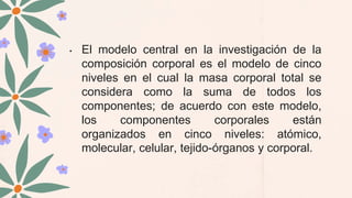 • El modelo central en la investigación de la
composición corporal es el modelo de cinco
niveles en el cual la masa corporal total se
considera como la suma de todos los
componentes; de acuerdo con este modelo,
los componentes corporales están
organizados en cinco niveles: atómico,
molecular, celular, tejido-órganos y corporal.
 