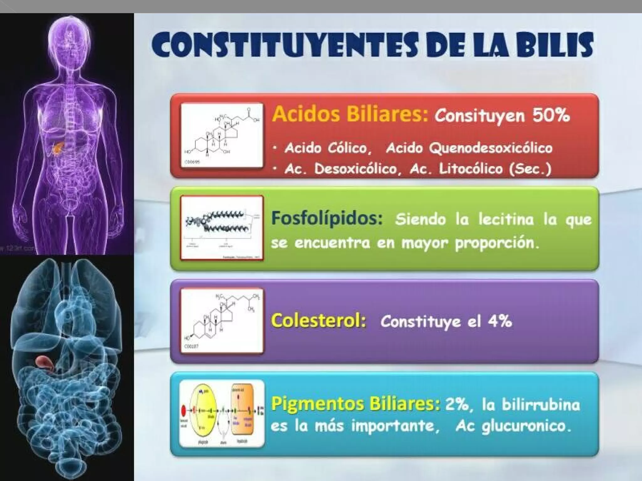 Composicion de-la-bilis | PPT
