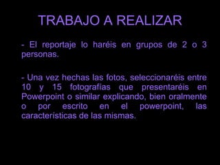 Es decir, tendréis que explicar el tipo de plano utilizado, la iluminación que se ha conseguido, si se han hecho retoques digitales y explicar brevemente el mensaje que intenta transmitir la imagen captada o el conjunto de imágenes. 