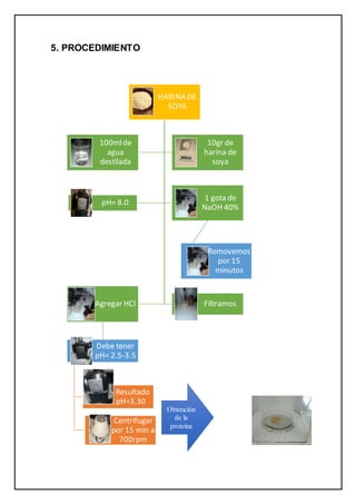 5. PROCEDIMIENTO
HARINA DE
SOYA
10gr de
harina de
soya
100mlde
agua
destilada
1 gota de
NaOH 40%
Removemos
por 15
minutos
pH= 8.0
FiltramosAgregar HCl
Debe tener
pH= 2.5-3.5
Resultado
pH=3.30
Centrifugar
por 15 min a
700rpm
Obtención
de la
proteína
 