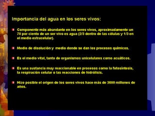 Composicion quimica-de-los-seres-vivos