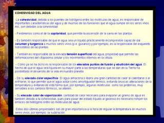 Composicion quimica-de-los-seres-vivos