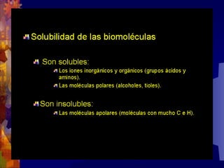Composicion quimica-de-los-seres-vivos