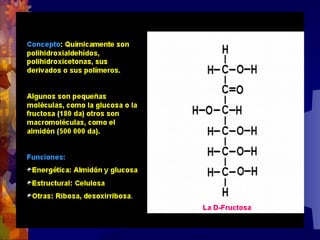 Composicion quimica-de-los-seres-vivos