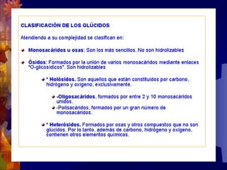 Composicion quimica-de-los-seres-vivos