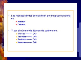 Composicion quimica-de-los-seres-vivos