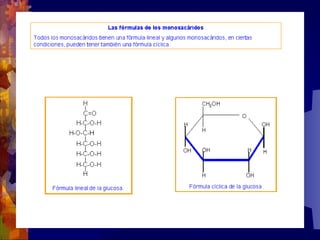 Composicion quimica-de-los-seres-vivos