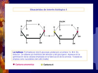 Composicion quimica-de-los-seres-vivos