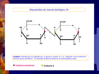 Composicion quimica-de-los-seres-vivos