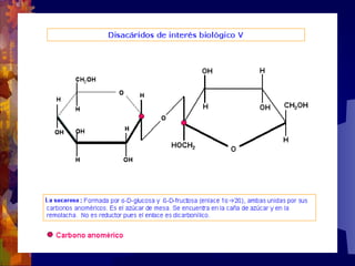 Composicion quimica-de-los-seres-vivos