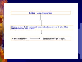 Composicion quimica-de-los-seres-vivos