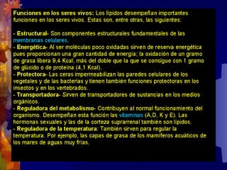 Composicion quimica-de-los-seres-vivos