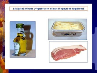 Composicion quimica-de-los-seres-vivos