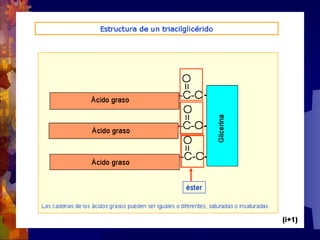 Composicion quimica-de-los-seres-vivos
