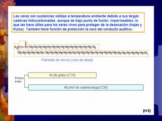 Composicion quimica-de-los-seres-vivos