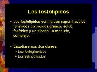 Composicion quimica-de-los-seres-vivos