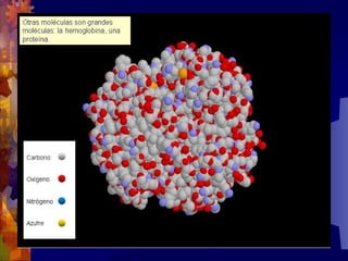 Composicion quimica-de-los-seres-vivos