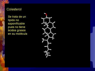 Composicion quimica-de-los-seres-vivos