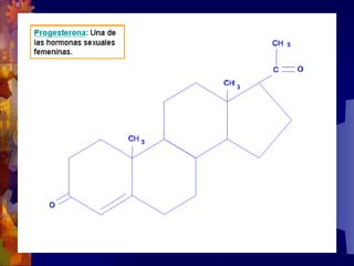 Composicion quimica-de-los-seres-vivos
