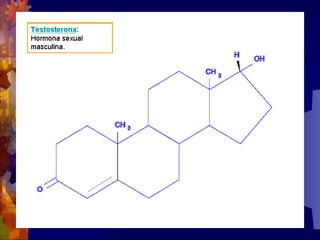 Composicion quimica-de-los-seres-vivos