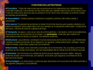 Composicion quimica-de-los-seres-vivos