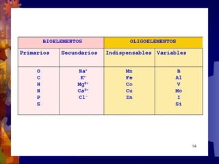 Composicion quimica-de-los-seres-vivos