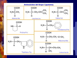 Composicion quimica-de-los-seres-vivos