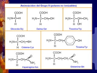 Composicion quimica-de-los-seres-vivos