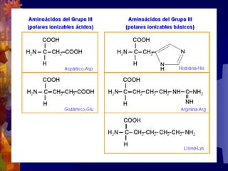 Composicion quimica-de-los-seres-vivos