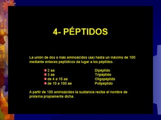 Composicion quimica-de-los-seres-vivos