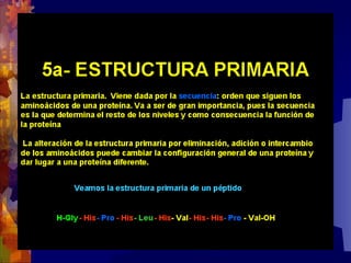 Composicion quimica-de-los-seres-vivos