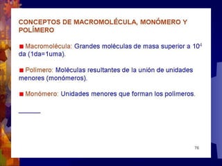 Composicion quimica-de-los-seres-vivos