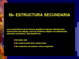 Composicion quimica-de-los-seres-vivos