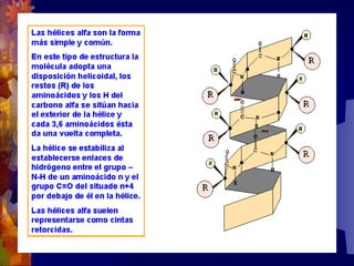 Composicion quimica-de-los-seres-vivos