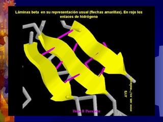 Composicion quimica-de-los-seres-vivos