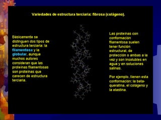 Composicion quimica-de-los-seres-vivos