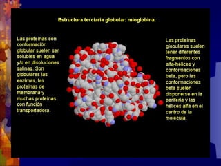 Composicion quimica-de-los-seres-vivos