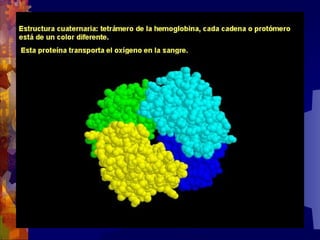 Composicion quimica-de-los-seres-vivos